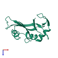 Ribonuclease pancreatic in PDB entry 1xpt, assembly 1, top view.