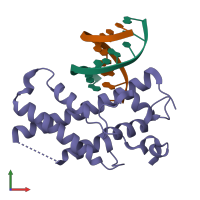 PDB entry 1xpx coloured by chain, front view.