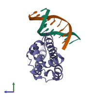 PDB entry 1xpx coloured by chain, side view.