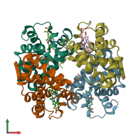 PDB entry 1xq5 coloured by chain, front view.