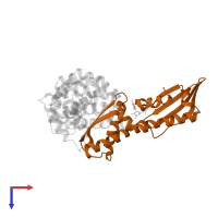 Heat shock 70 kDa protein 1A in PDB entry 1xqs, assembly 1, top view.