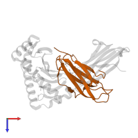 Beta-2-microglobulin in PDB entry 1xr9, assembly 1, top view.