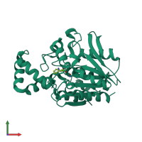 PDB entry 1xrl coloured by chain, front view.
