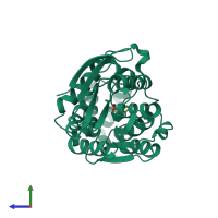 PDB entry 1xrl coloured by chain, side view.