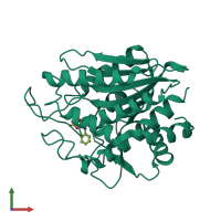 PDB entry 1xry coloured by chain, front view.