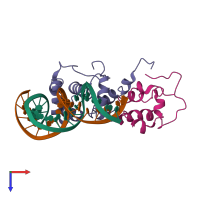 Hetero tetrameric assembly 1 of PDB entry 1xs9 coloured by chemically distinct molecules, top view.