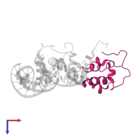 DNA-directed RNA polymerase subunit alpha in PDB entry 1xs9, assembly 1, top view.