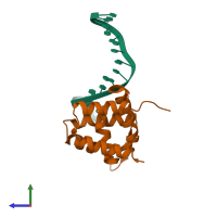 PDB entry 1xsd coloured by chain, side view.