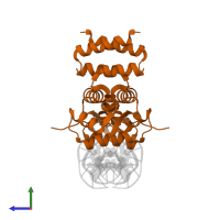 Penicillinase repressor in PDB entry 1xsd, assembly 1, side view.