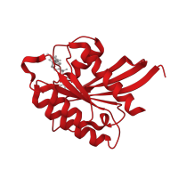 The deposited structure of PDB entry 1xts contains 1 copy of CATH domain 3.40.50.300 (Rossmann fold) in GTP-binding protein Rheb. Showing 1 copy in chain A.