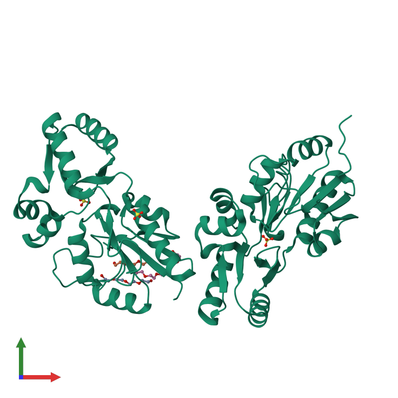 <div class='caption-body'><ul class ='image_legend_ul'>The deposited structure of PDB entry 1xvi coloured by chemically distinct molecules and viewed from the front. The entry contains: <li class ='image_legend_li'>2 copies of Putative mannosyl-3-phosphoglycerate phosphatase</li><li class ='image_legend_li'>[]<ul class ='image_legend_ul'><li class ='image_legend_li'>3 copies of SULFATE ION</li> <li class ='image_legend_li'>1 copy of PENTAETHYLENE GLYCOL</li> <li class ='image_legend_li'>1 copy of TETRAETHYLENE GLYCOL</li> <li class ='image_legend_li'>1 copy of TRIETHYLENE GLYCOL</li></ul></li></div>