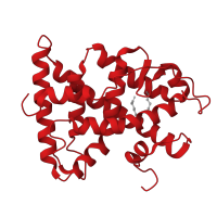 The deposited structure of PDB entry 1xvp contains 2 copies of CATH domain 1.10.565.10 (Retinoid X Receptor) in Retinoic acid receptor RXR-alpha. Showing 1 copy in chain C.