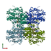 PDB 1xwf coloured by chain and viewed from the front.