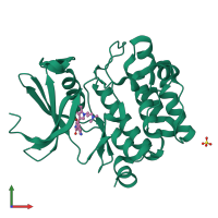 PDB entry 1xws coloured by chain, front view.