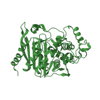 The deposited structure of PDB entry 1xx2 contains 2 copies of SCOP domain 56602 (beta-Lactamase/D-ala carboxypeptidase) in Beta-lactamase. Showing 1 copy in chain A.