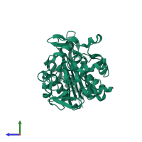Beta-lactamase in PDB entry 1xx2, assembly 1, side view.