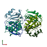 PDB entry 1xxb coloured by chain, front view.