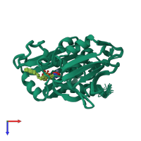 PDB entry 1xxe coloured by chain, ensemble of 25 models, top view.