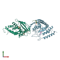 PDB entry 1xxp coloured by chain, front view.