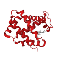 The deposited structure of PDB entry 1xy0 contains 2 copies of CATH domain 1.10.490.10 (Globin-like) in Hemoglobin subunit alpha. Showing 1 copy in chain A.