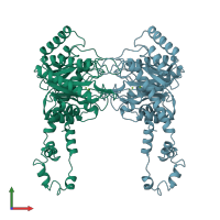 PDB entry 1xyc coloured by chain, front view.