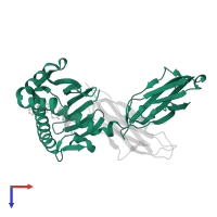 T-cell surface glycoprotein CD1a in PDB entry 1xz0, assembly 1, top view.