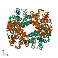 Hetero tetrameric assembly 1 of PDB entry 1xz4 coloured by chemically distinct molecules, front view.