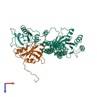PDB entry 1xzp coloured by chain, top view.