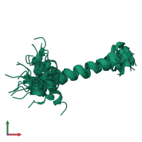 PDB entry 1y04 coloured by chain, ensemble of 20 models, front view.