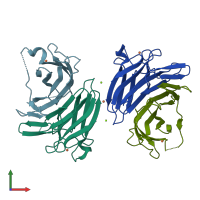 PDB entry 1y07 coloured by chain, front view.