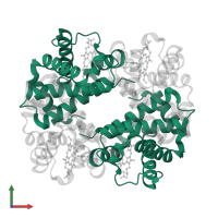 Hemoglobin subunit alpha in PDB entry 1y0a, assembly 1, front view.