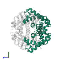 Hemoglobin subunit alpha in PDB entry 1y0a, assembly 1, side view.