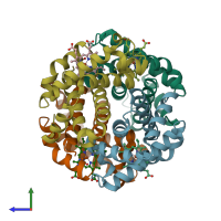 PDB entry 1y0c coloured by chain, side view.