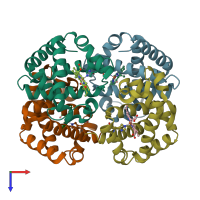 PDB entry 1y0d coloured by chain, top view.