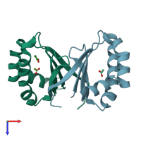 PDB entry 1y0h coloured by chain, top view.