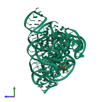 PDB entry 1y0q coloured by chain, side view.
