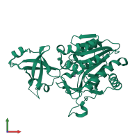 PDB entry 1y0r coloured by chain, front view.