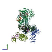 PDB entry 1y0v coloured by chain, side view.