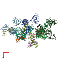 PDB entry 1y0v coloured by chain, top view.