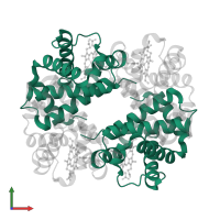 Hemoglobin subunit alpha in PDB entry 1y0w, assembly 1, front view.