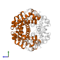 Hemoglobin subunit beta in PDB entry 1y0w, assembly 1, side view.