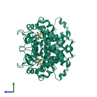 Homo dimeric assembly 2 of PDB entry 1y0x coloured by chemically distinct molecules, side view.