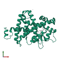 Thyroid hormone receptor beta in PDB entry 1y0x, assembly 1, front view.