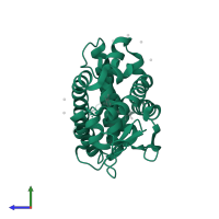 Thyroid hormone receptor beta in PDB entry 1y0x, assembly 1, side view.