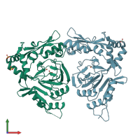 PDB entry 1y0z coloured by chain, front view.