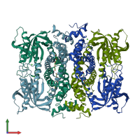 PDB entry 1y10 coloured by chain, front view.