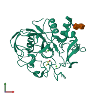 PDB entry 1y1f coloured by chain, front view.