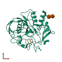 PDB entry 1y1g coloured by chain, front view.