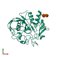 PDB entry 1y1i coloured by chain, front view.