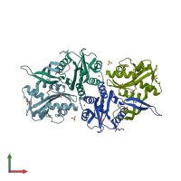 PDB entry 1y1o coloured by chain, front view.